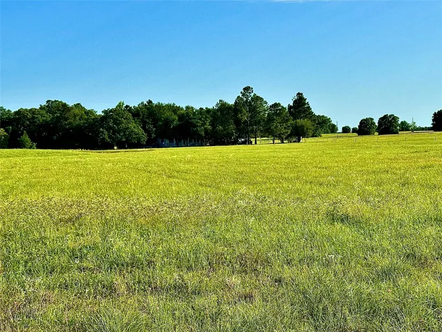 a view of a field with an ocean