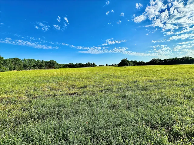 a view of an outdoor space and yard