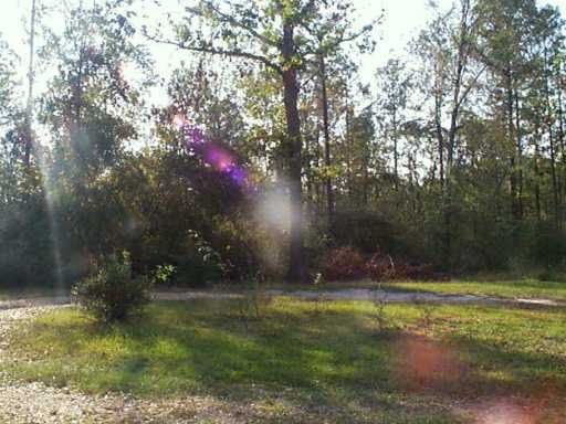 95 Copeland Road Perkinston, MS 39573 - Photo 4 of 4 Additional Photo