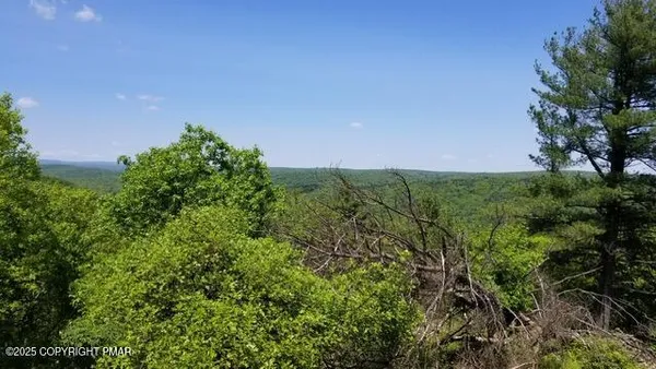 a view of a field with a tree in the background