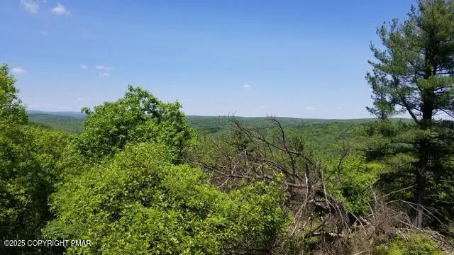 a view of a field with a tree in the background