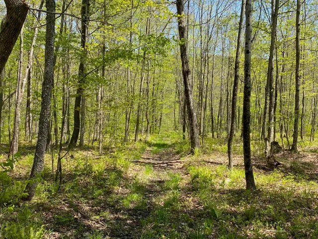 $499,000 | 0 East Road, Tinmouth, VT 05773