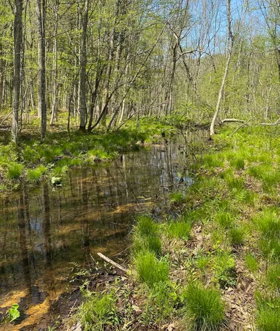 $499,000 | 0 East Road, Tinmouth, VT 05773