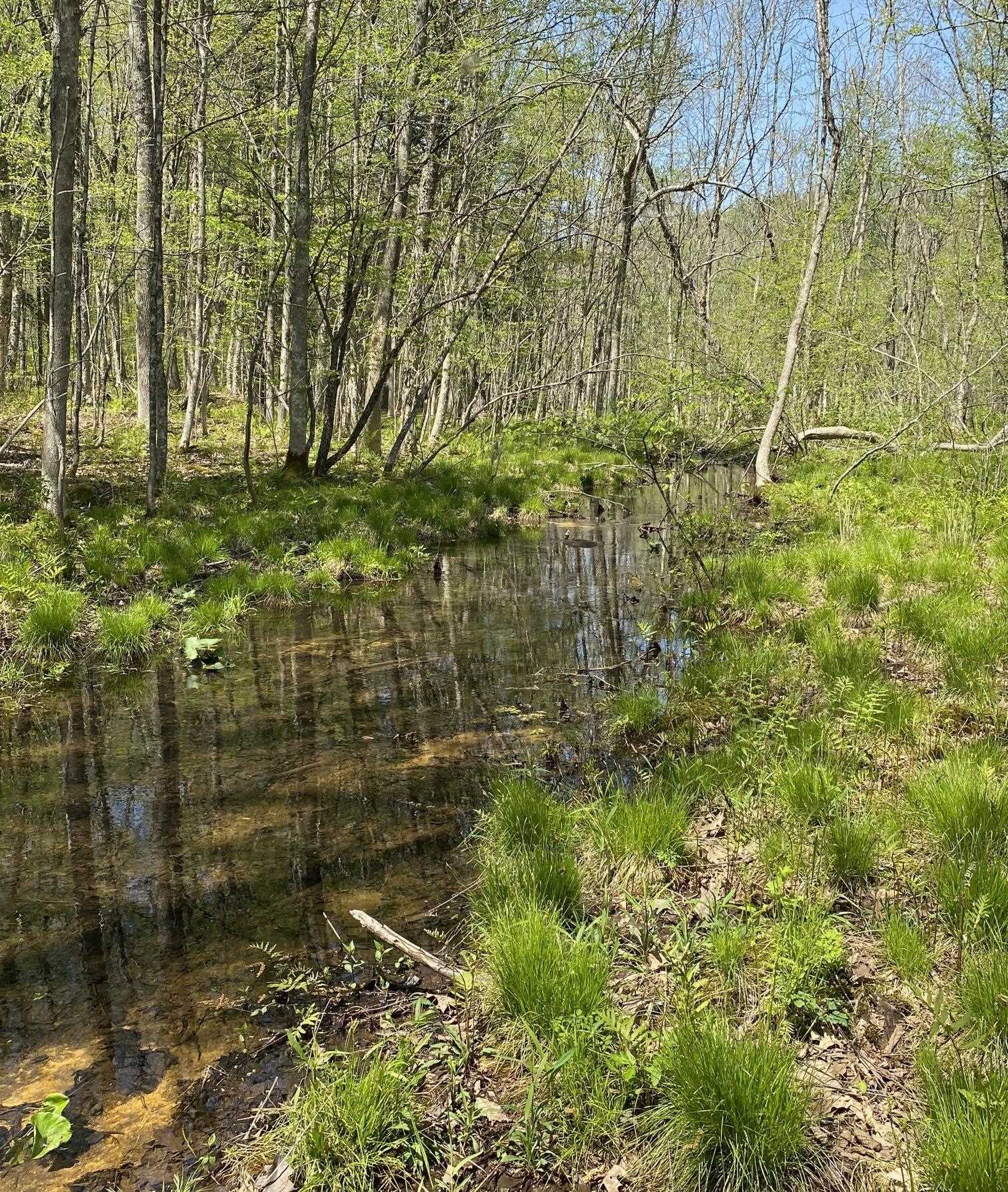 0 East Road Tinmouth, VT 05773 - Photo 21 of 34