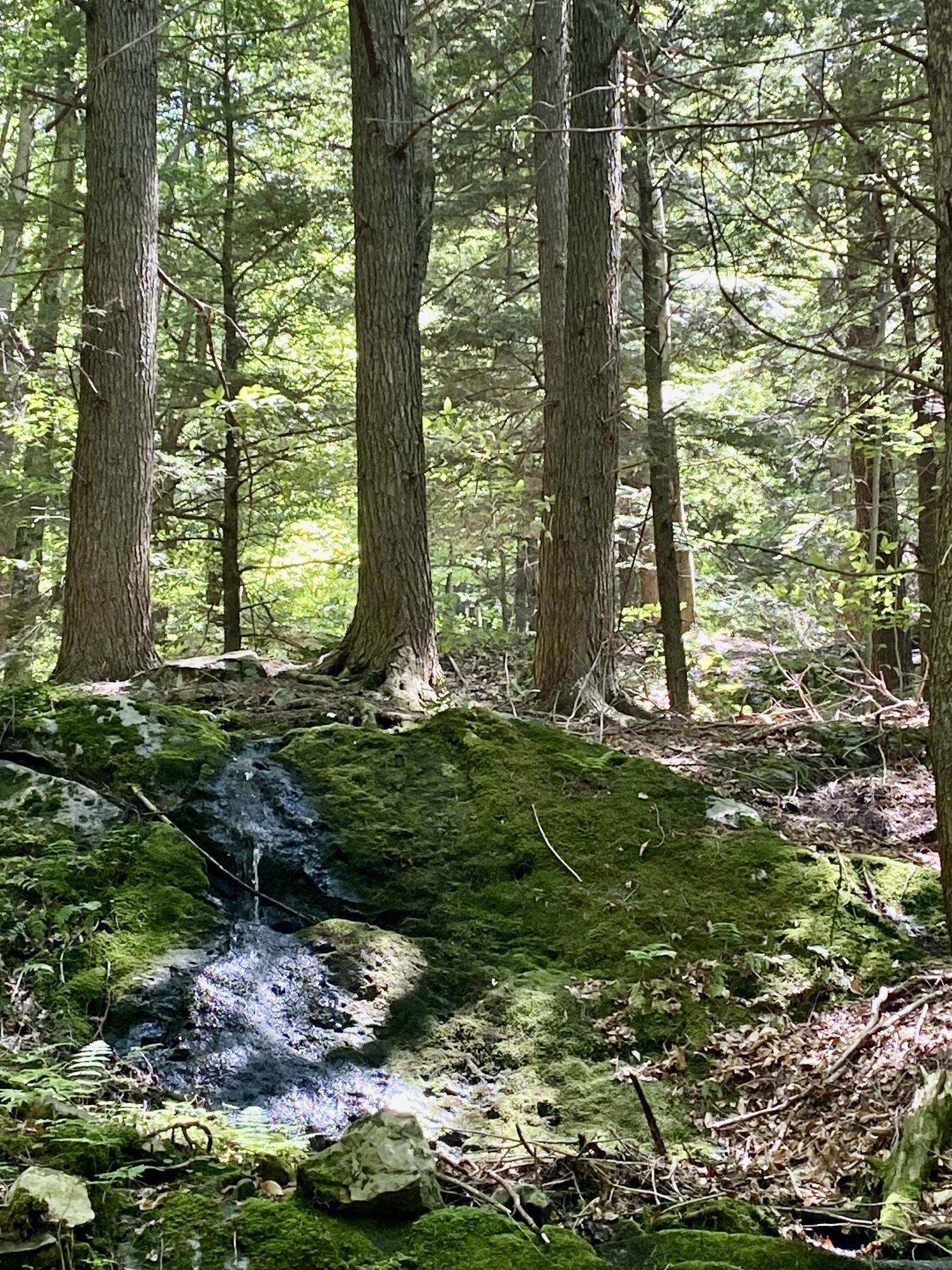 0 East Road Tinmouth, VT 05773 - Photo 22 of 34