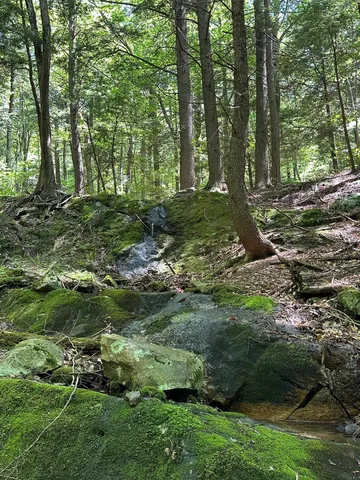 $499,000 | 0 East Road, Tinmouth, VT 05773