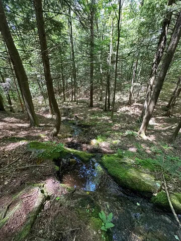 $499,000 | 0 East Road, Tinmouth, VT 05773