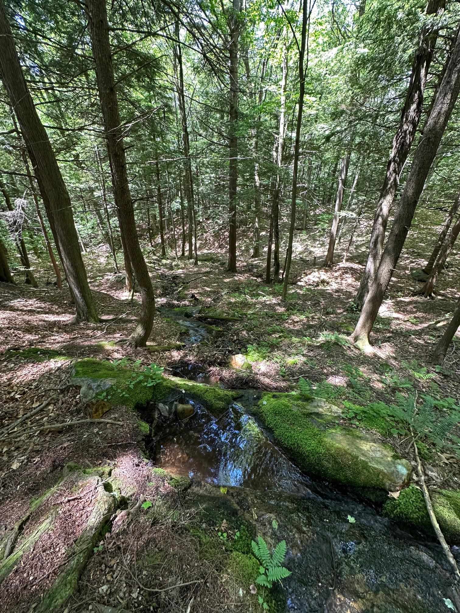 0 East Road Tinmouth, VT 05773 - Photo 24 of 34