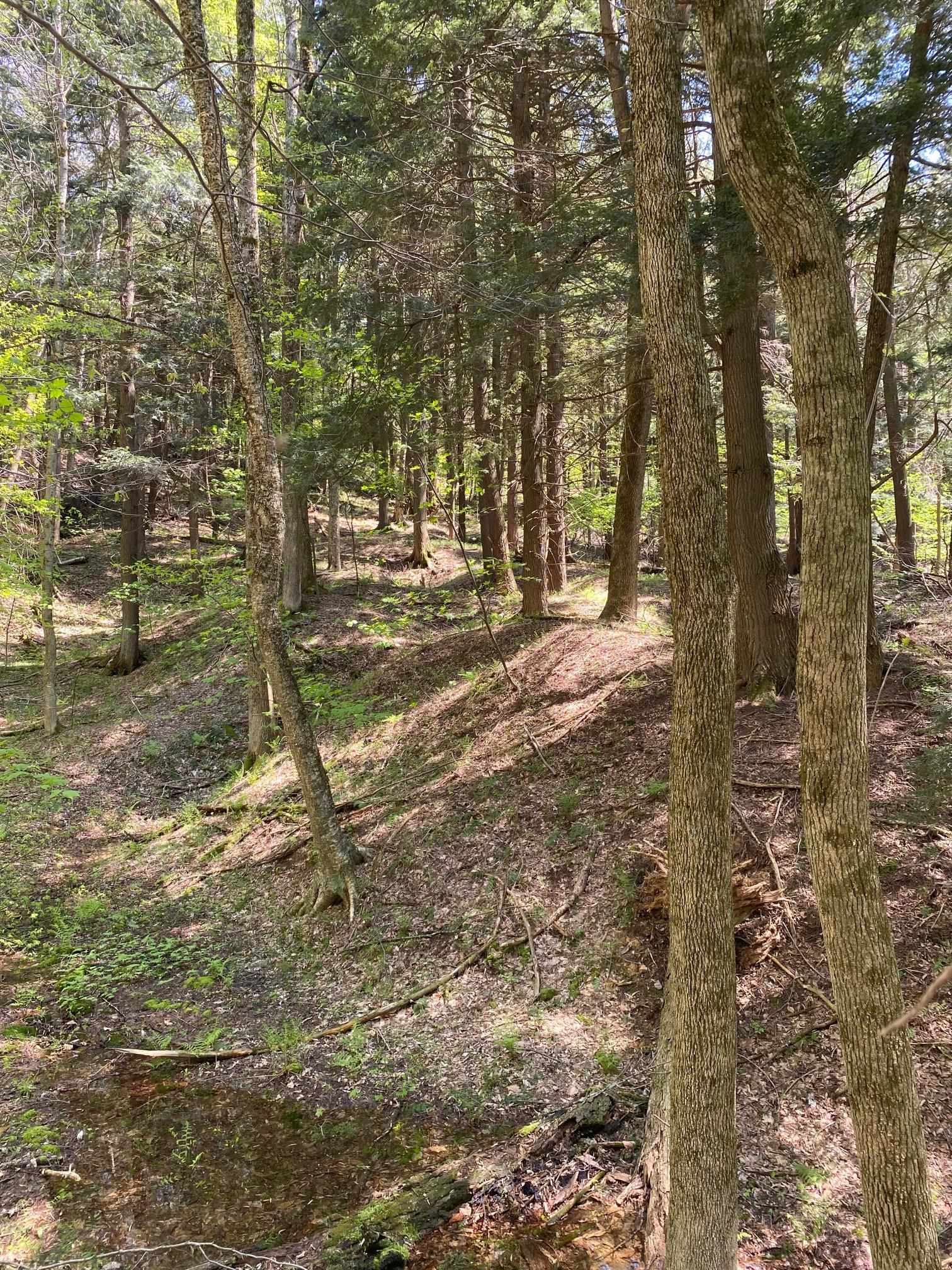 0 East Road Tinmouth, VT 05773 - Photo 25 of 34