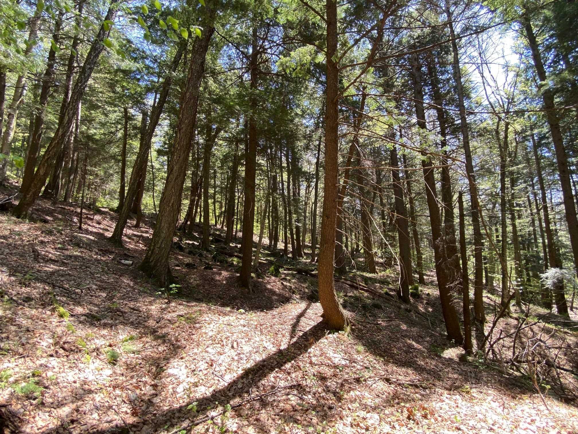 0 East Road Tinmouth, VT 05773 - Photo 26 of 34