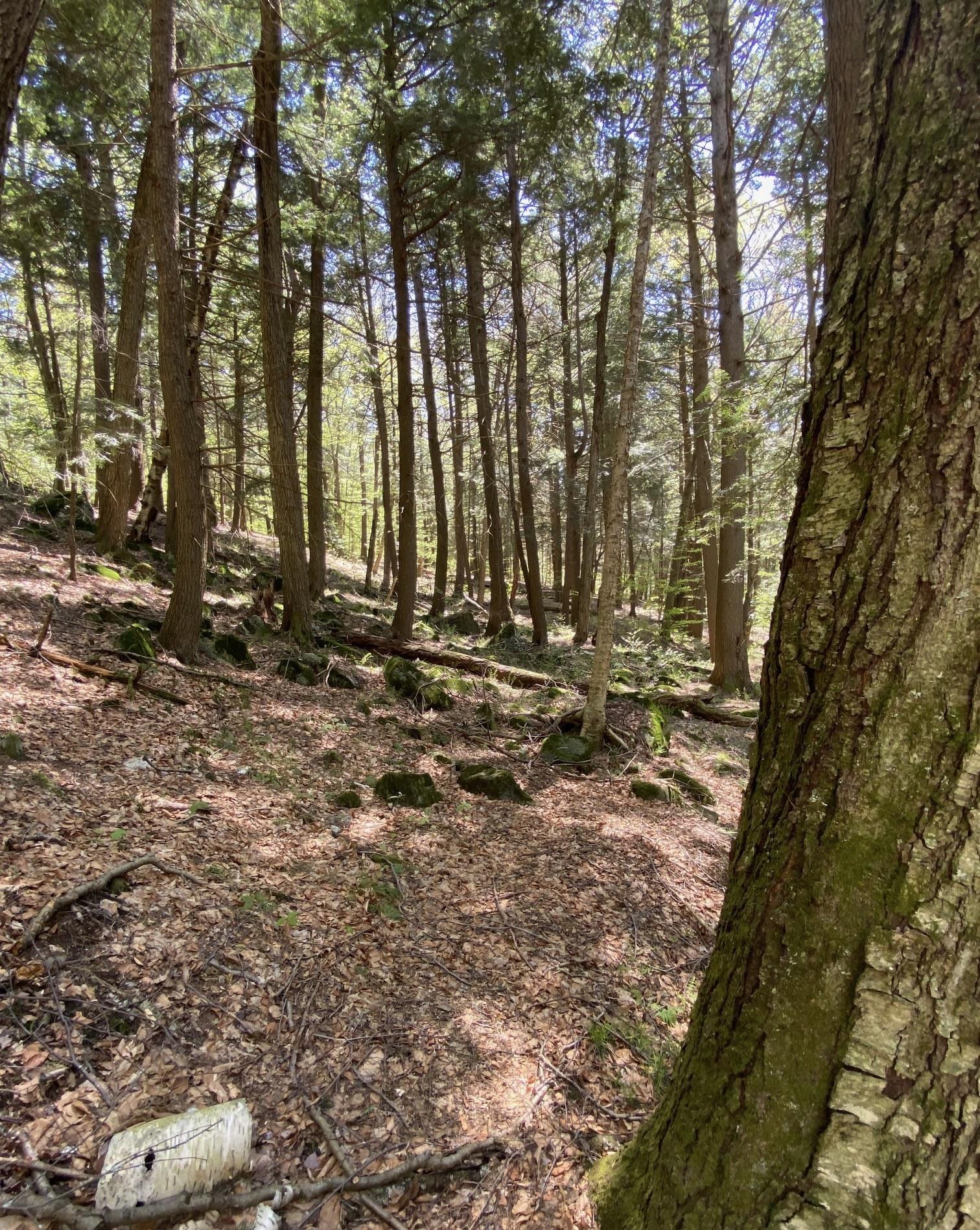 0 East Road Tinmouth, VT 05773 - Photo 27 of 34