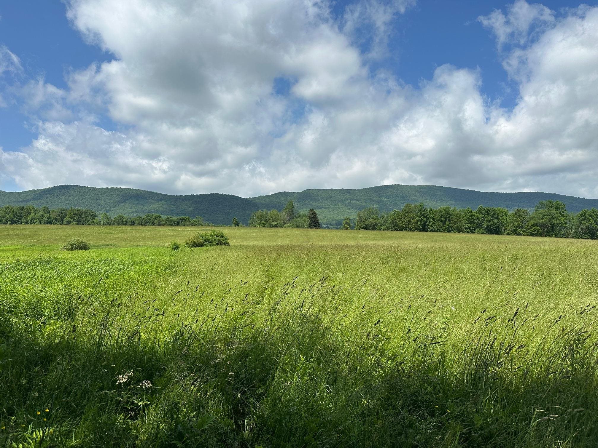 0 East Road Tinmouth, VT 05773 - Photo 28 of 34