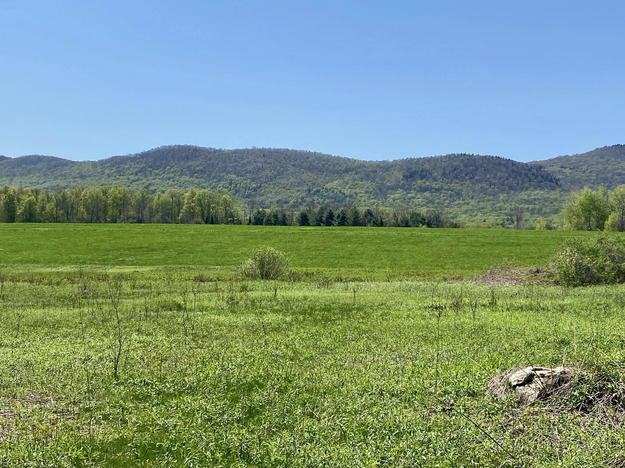 0 East Road Tinmouth, VT 05773 - Photo 29 of 34