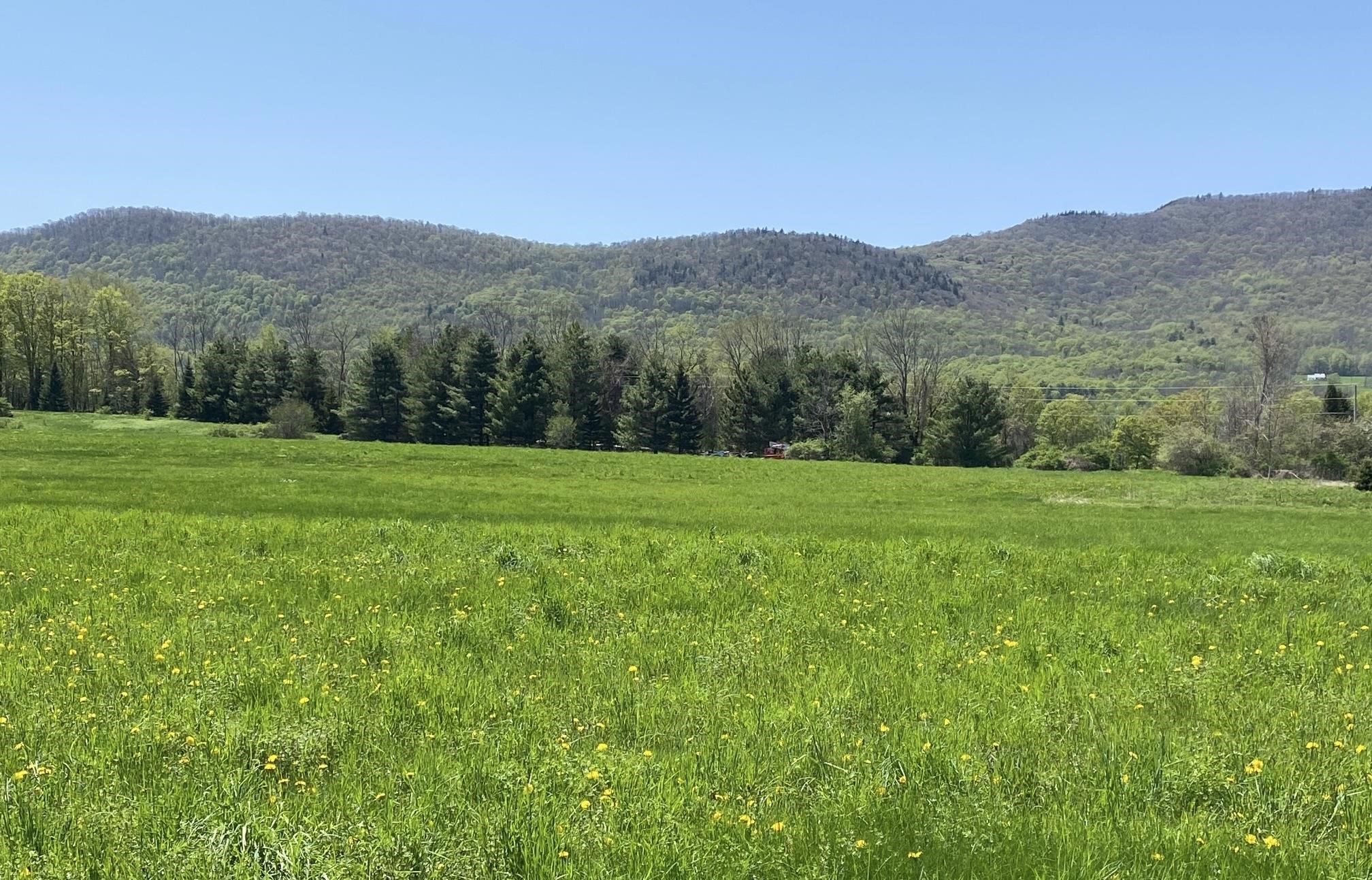 0 East Road Tinmouth, VT 05773 - Photo 30 of 34