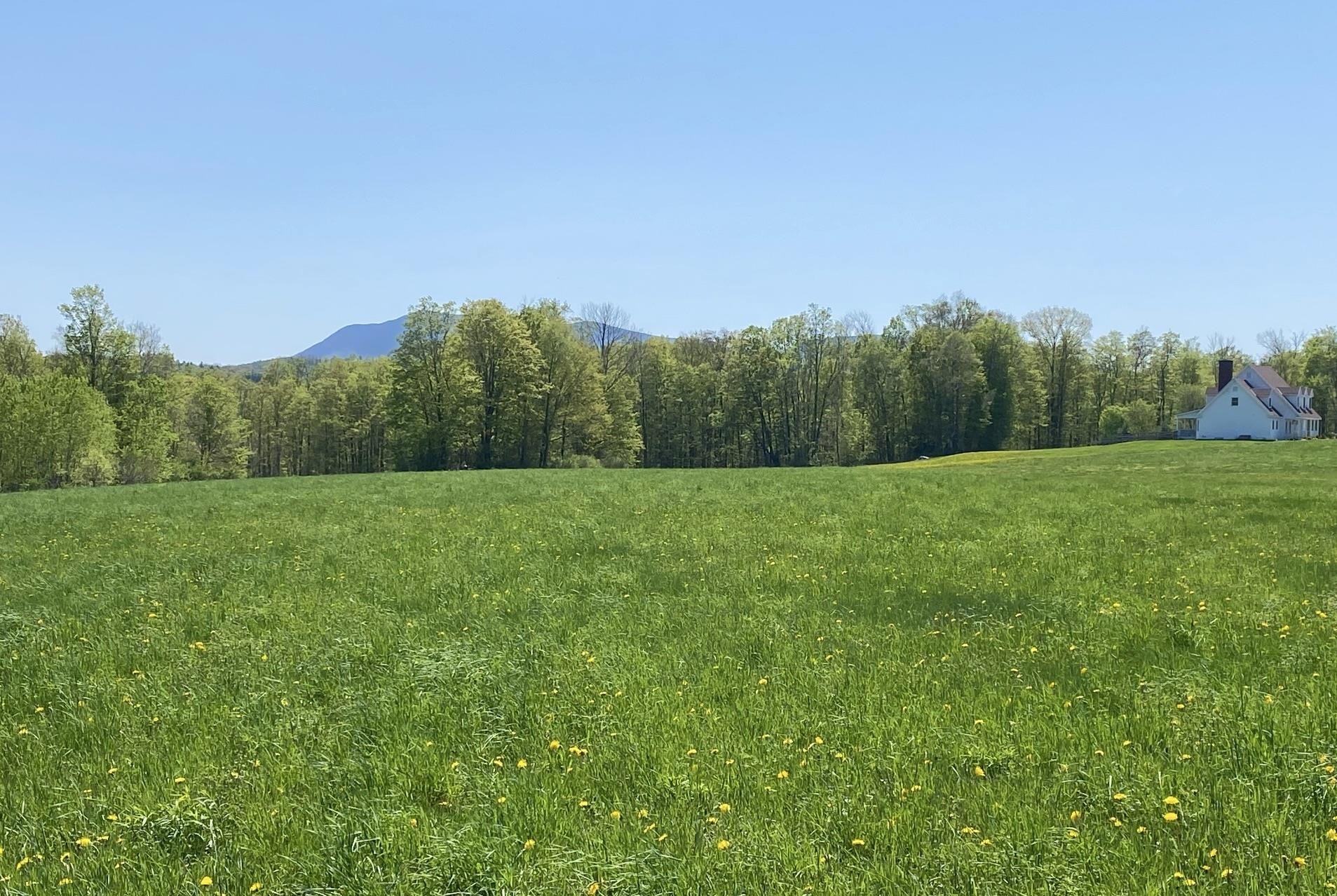 0 East Road Tinmouth, VT 05773 - Photo 31 of 34