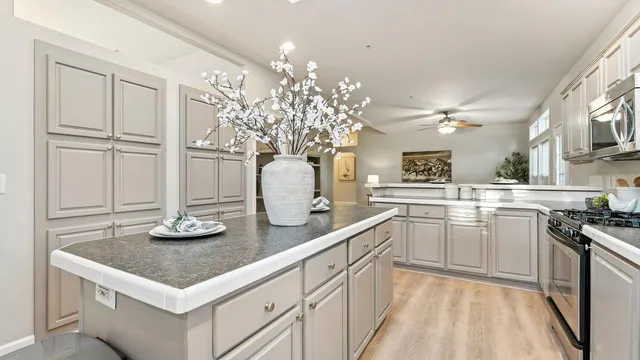 $1,490,000 | 35655 County Road 20, Woodland, CA 95695