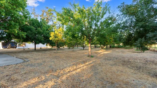 $1,490,000 | 35655 County Road 20, Woodland, CA 95695