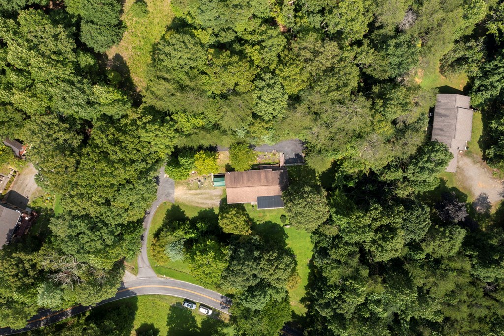 488 West Cherry Road Hayesville, NC 28904 - Photo 4 of 51