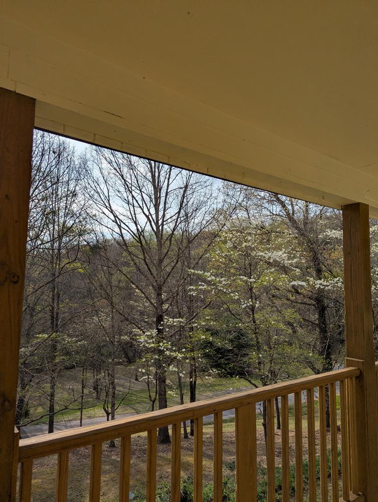 488 West Cherry Road Hayesville, NC 28904 - Photo 49 of 51