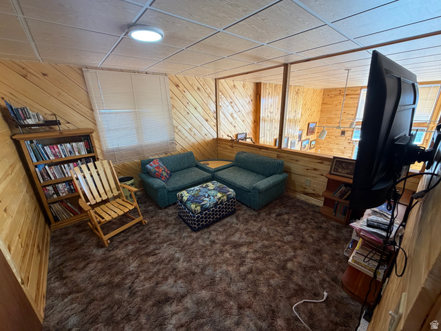 358 South Sky Drive Torrey, UT 84775 - Photo 25 of 82 Carpeted room featuring natural wood paneling, a drop ceiling, and an interior window opening
