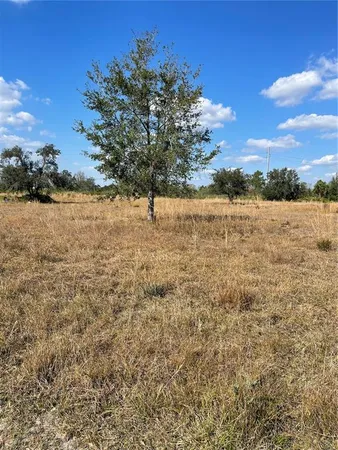 $53,900 | Hammermill Ave Lake, Lake Wales, FL 33859