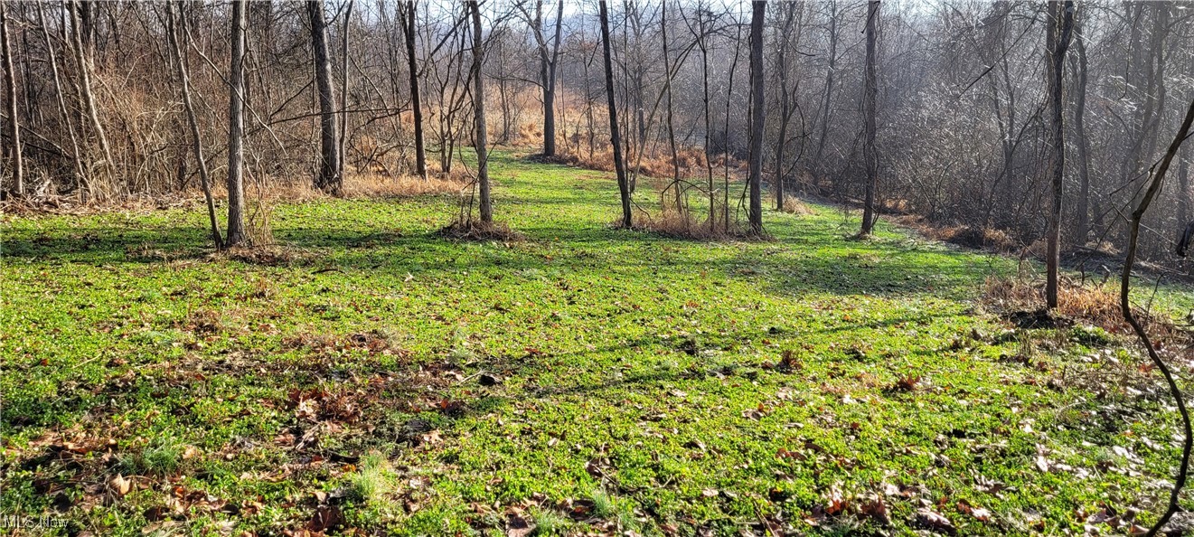 399 Township Road Coshocton, OH 43812 - Photo 23 of 50