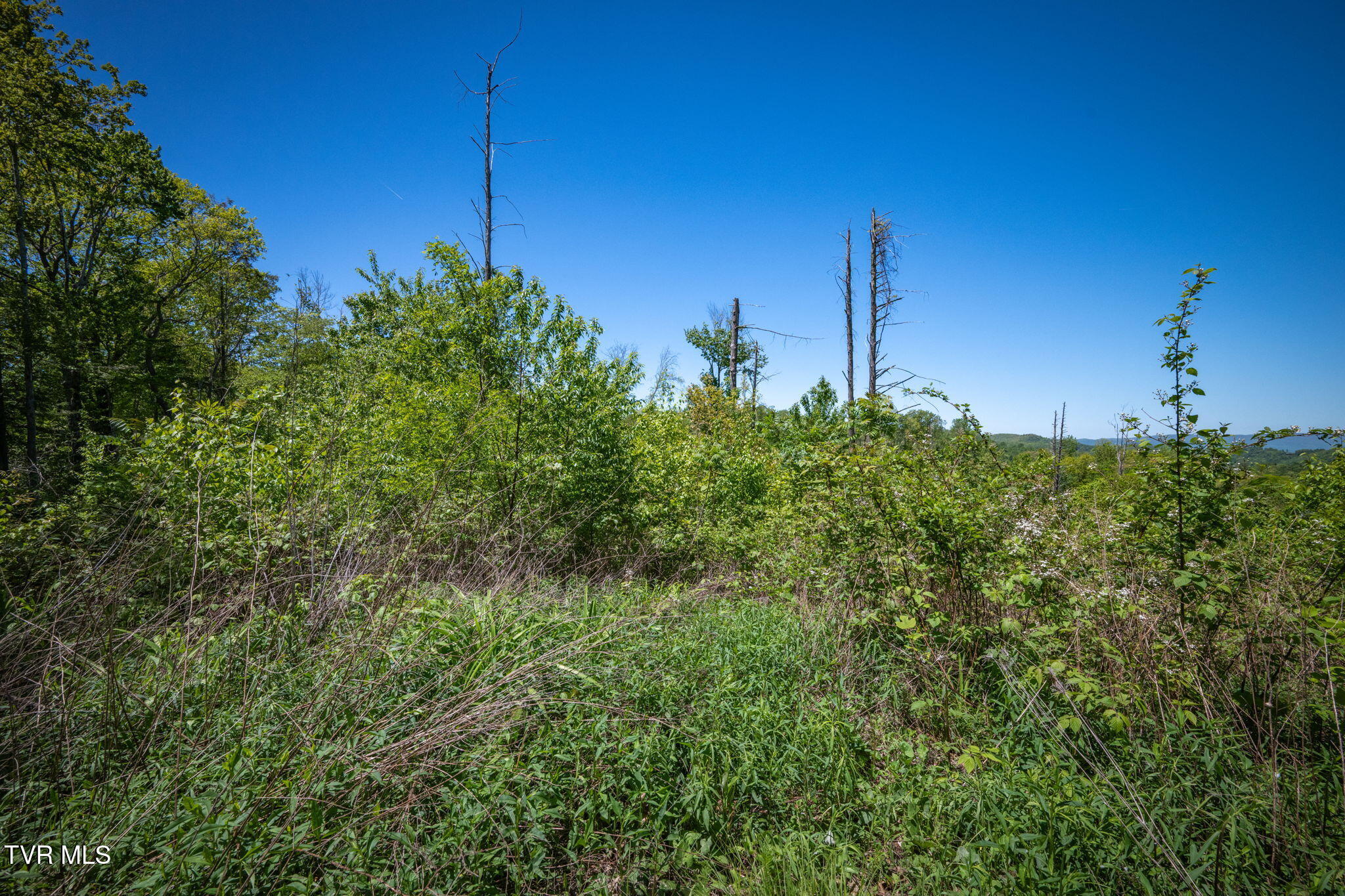Tbd Walnut Mountain Road, Unit TBD Butler, TN 37640 - Photo 5 of 22 15-web-or-mls-EXT_9386
