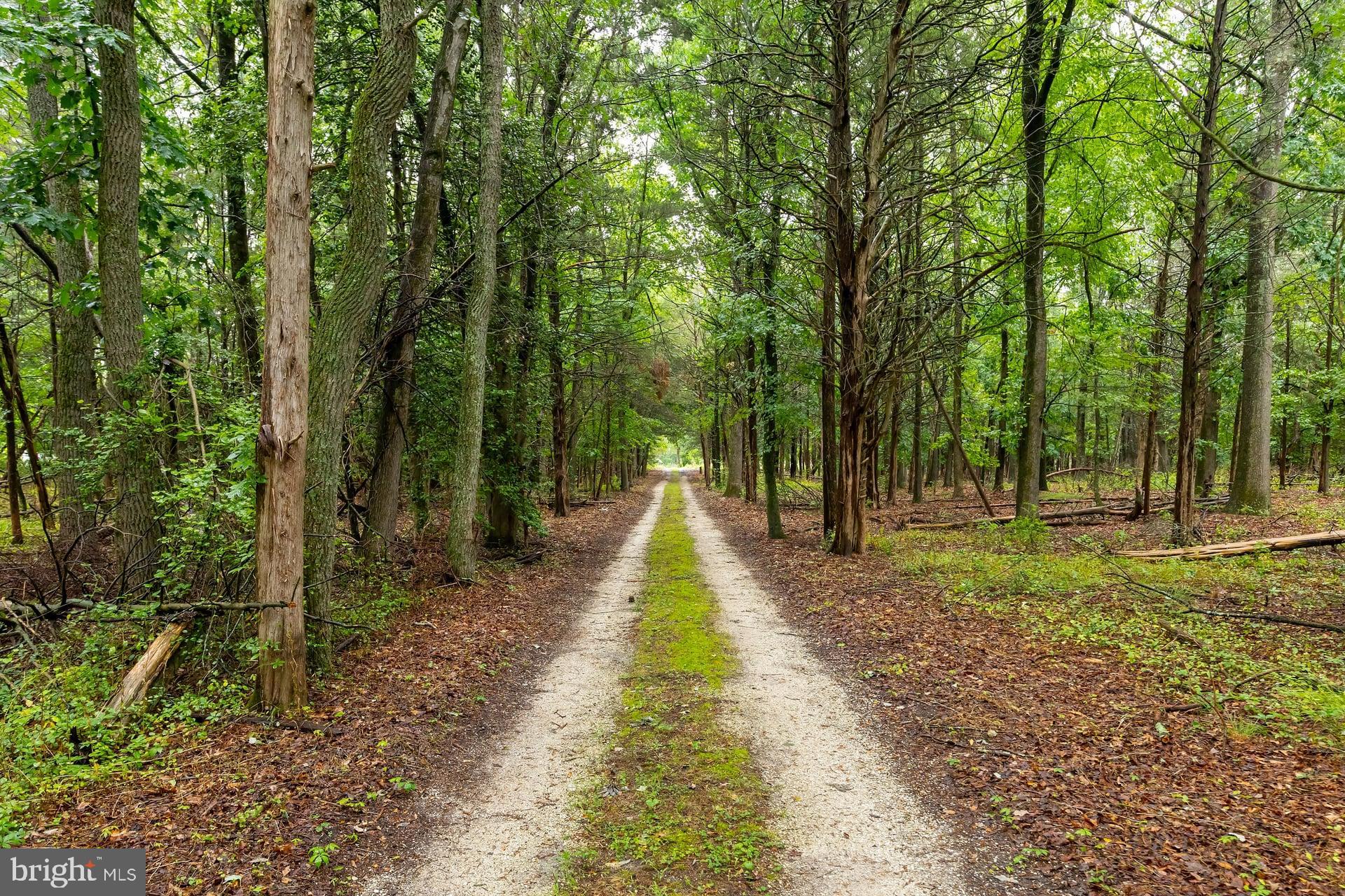 1010 Willow Grove Road Pittsgrove, NJ 08318 - Photo 1 of 22 The long driveway home