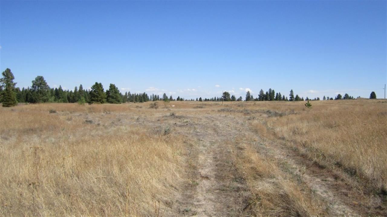 36209 South Rock Lake Road Cheney, WA 99004 - Photo 1 of 17