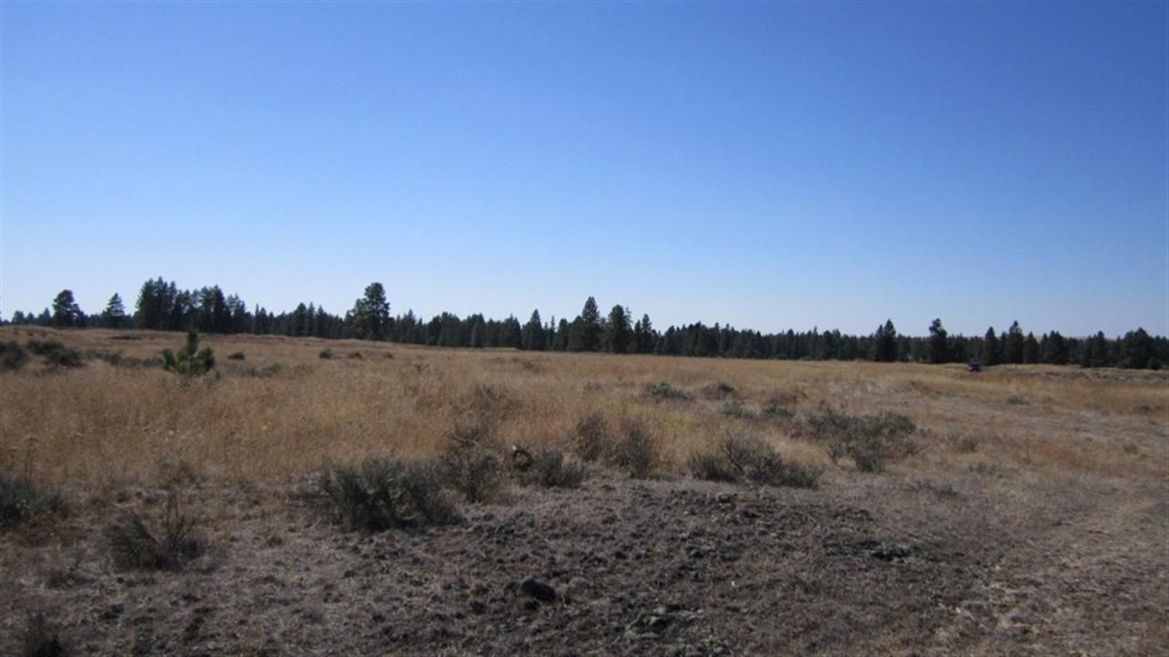 36209 South Rock Lake Road Cheney, WA 99004 - Photo 11 of 17