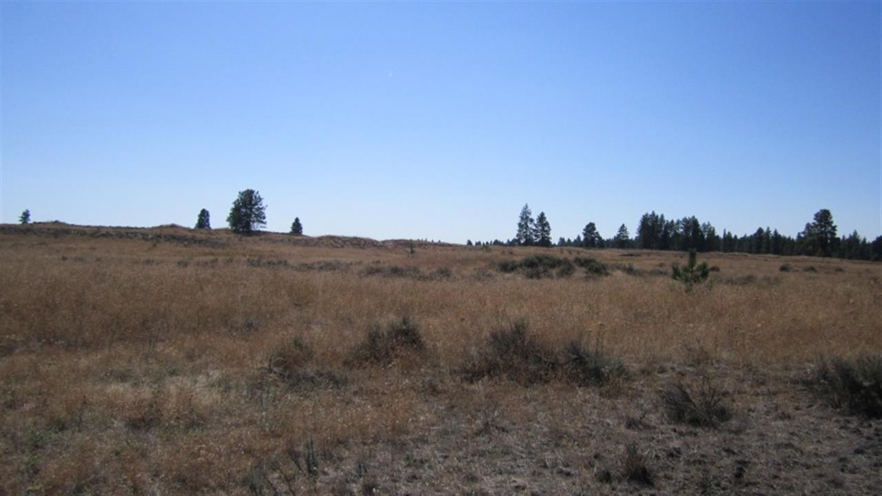 36209 South Rock Lake Road Cheney, WA 99004 - Photo 12 of 17