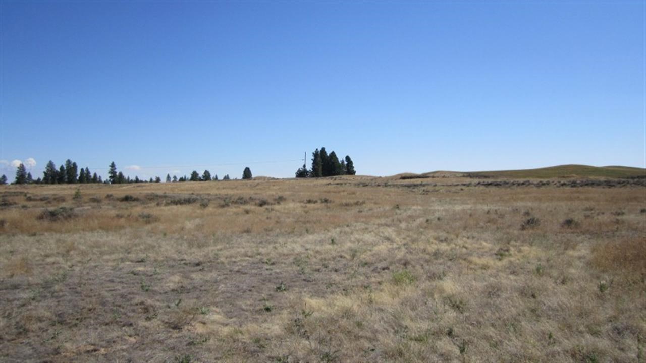 36209 South Rock Lake Road Cheney, WA 99004 - Photo 14 of 17