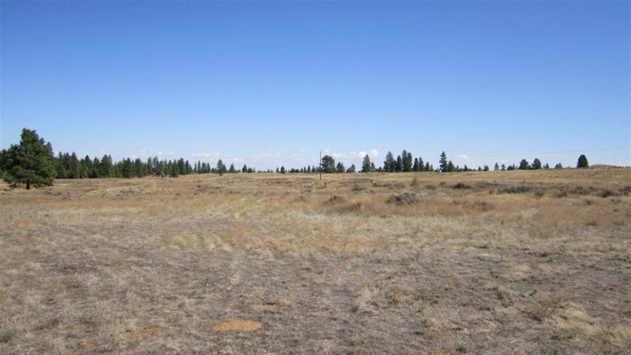 36209 South Rock Lake Road Cheney, WA 99004 - Photo 15 of 17
