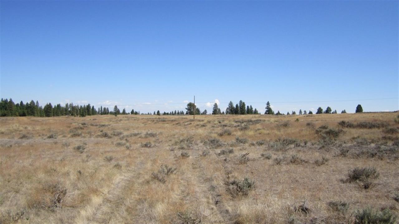 36209 South Rock Lake Road Cheney, WA 99004 - Photo 16 of 17