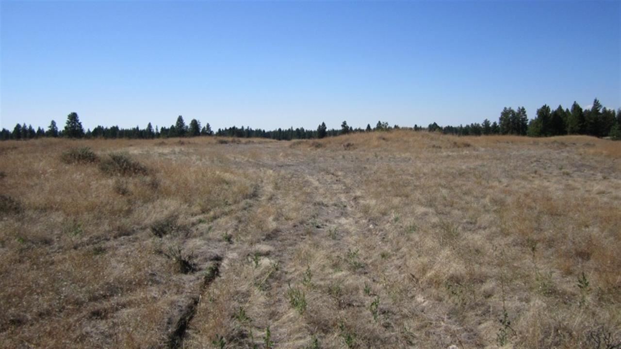 36209 South Rock Lake Road Cheney, WA 99004 - Photo 17 of 17