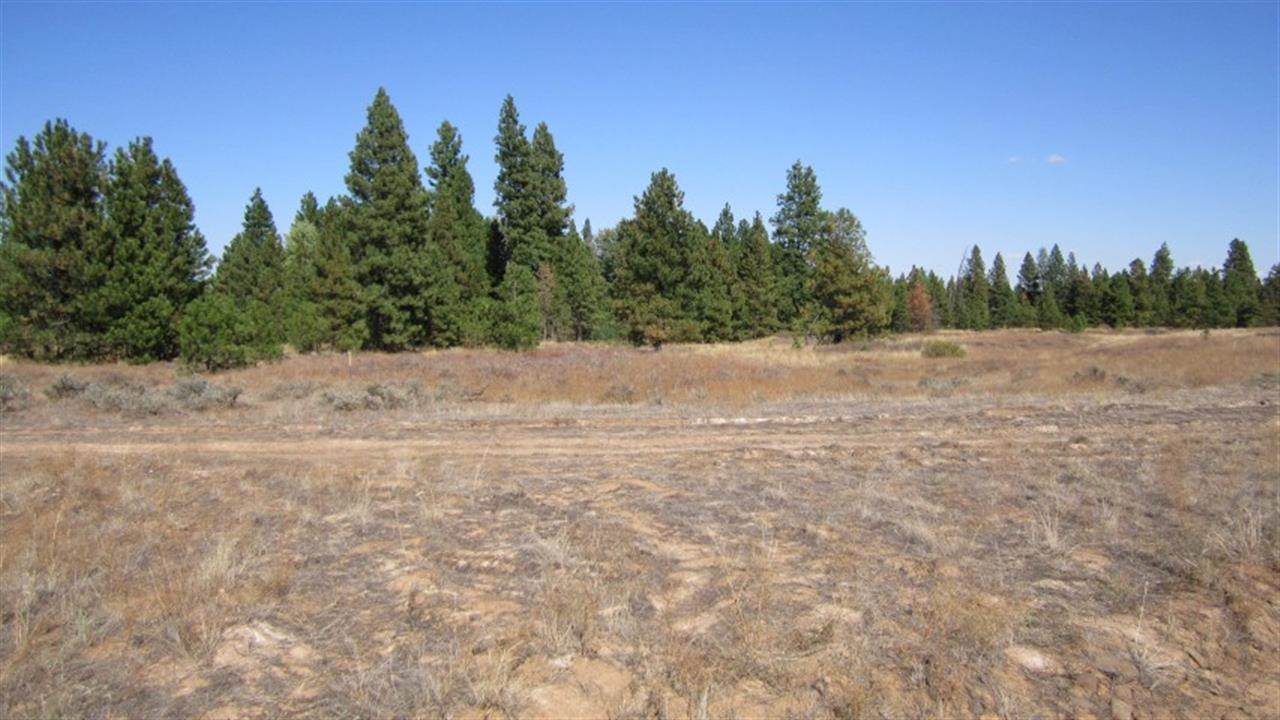 36209 South Rock Lake Road Cheney, WA 99004 - Photo 3 of 17