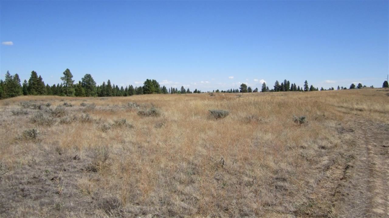 36209 South Rock Lake Road Cheney, WA 99004 - Photo 6 of 17