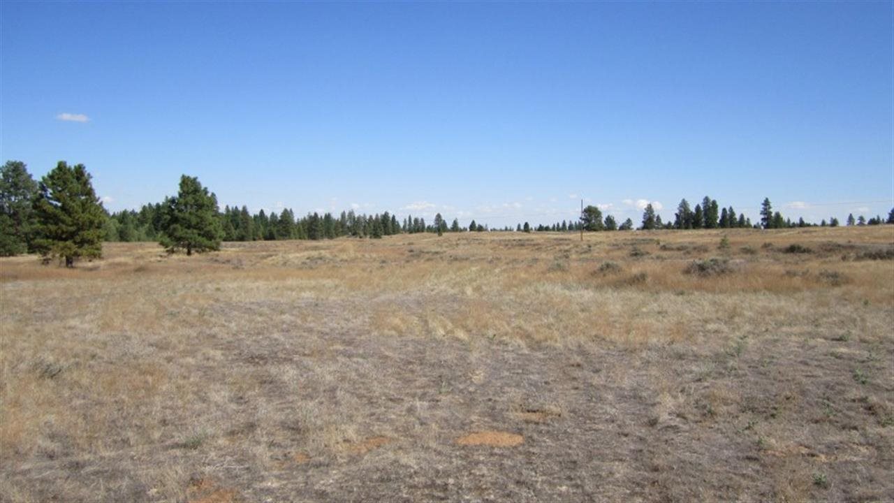 36209 South Rock Lake Road Cheney, WA 99004 - Photo 7 of 17