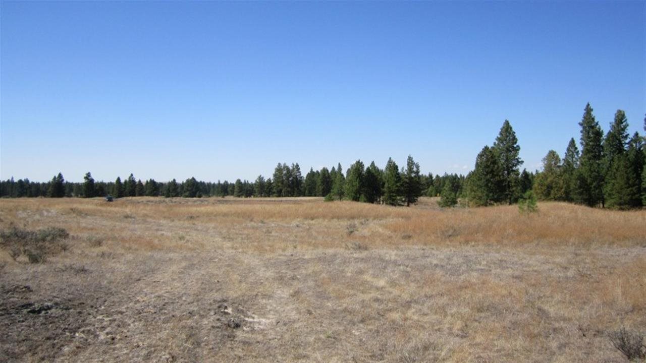 36209 South Rock Lake Road Cheney, WA 99004 - Photo 10 of 17