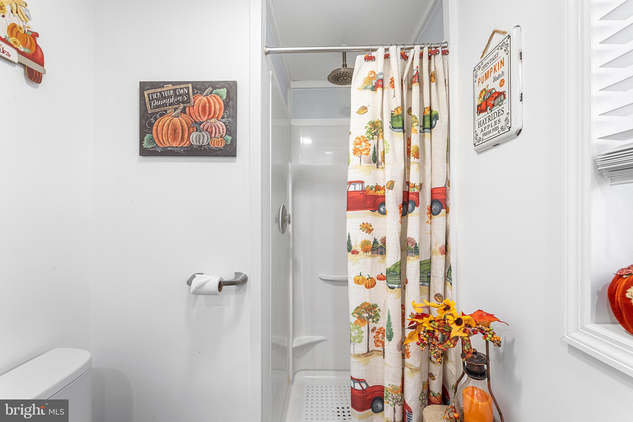 13241 Oyster House Road Princess Anne, MD 21853 - Photo 18 of 39 a bathroom with a sink a toilet and shower curtain