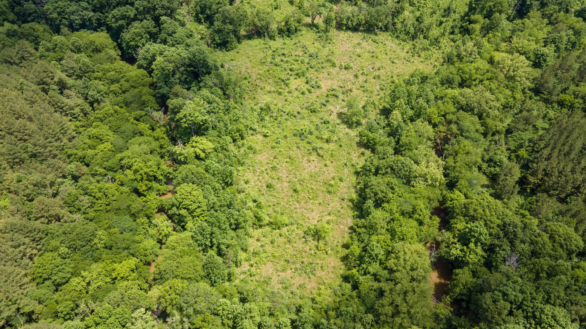 4 State Highway Calhoun, TN 37309 - Photo 14 of 22