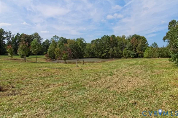 a view of a field with trees in the background