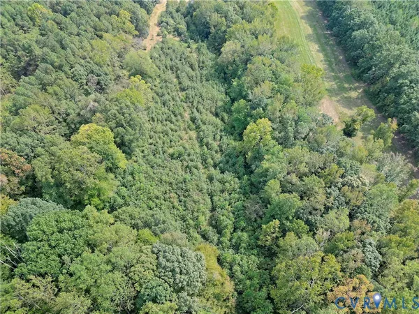 a view of a big yard with plants and large trees