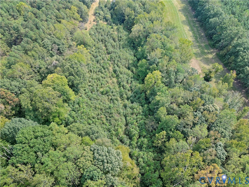 2110 Military Road Amelia Court House, VA 23002 - Photo 45 of 46 an aerial view of residential house with space and trees all around