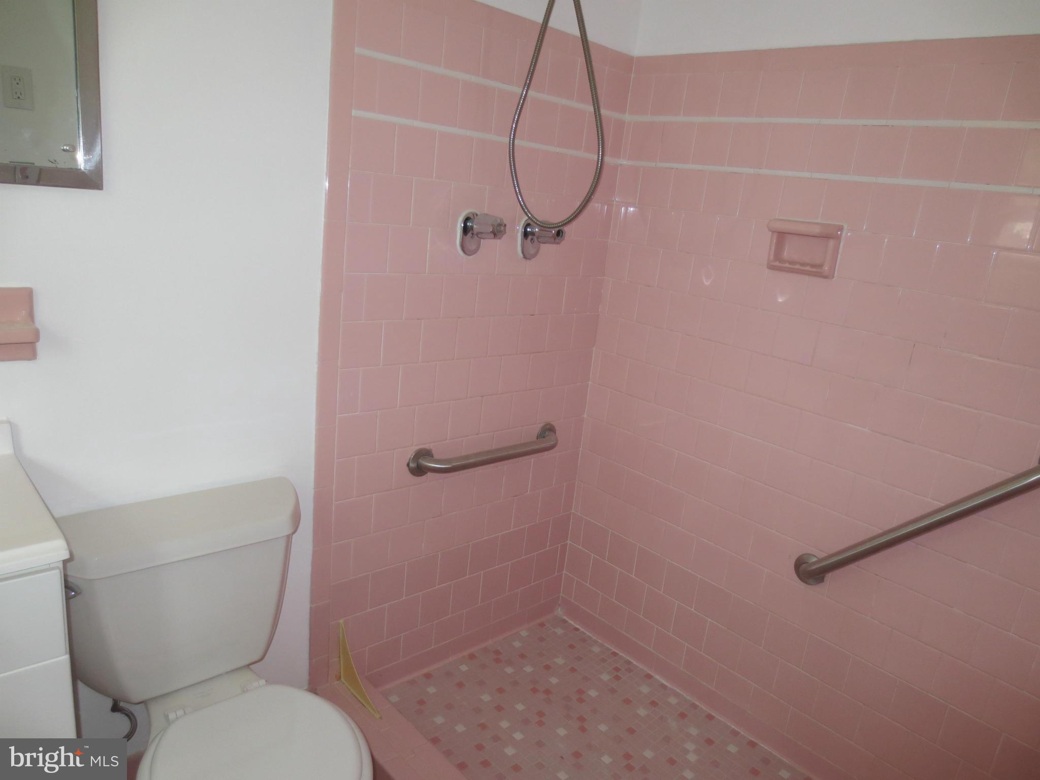 10616 Glenwild Road Silver Spring, MD 20901 - Photo 16 of 30 Bath (Master) View