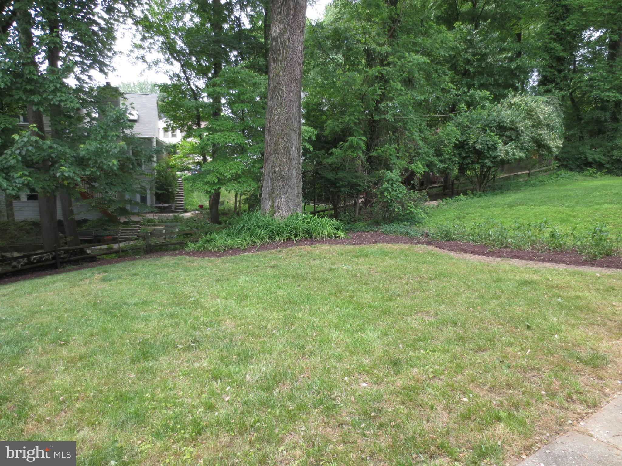 10616 Glenwild Road Silver Spring, MD 20901 - Photo 25 of 30 Exterior (Rear) Backyard