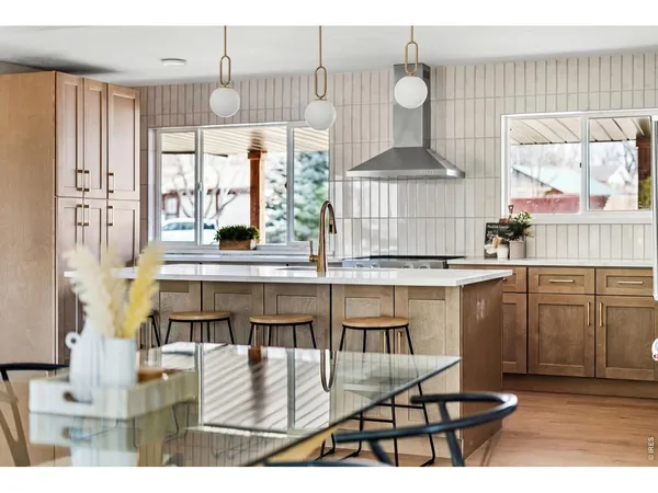 a kitchen with a sink a counter space and a potted plant