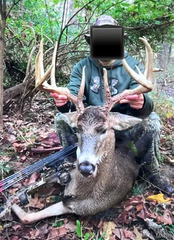 $1,925,000 | 32315 County Road 325, Salem, MO 65560