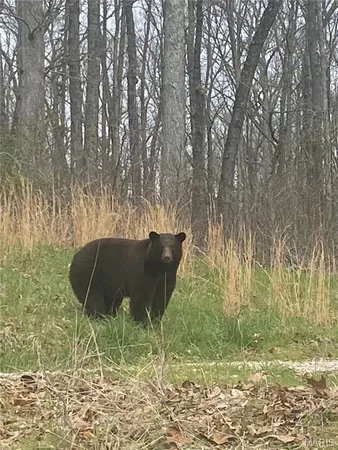 $1,925,000 | 32315 County Road 325, Salem, MO 65560