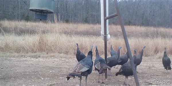 $1,925,000 | 32315 County Road 325, Salem, MO 65560